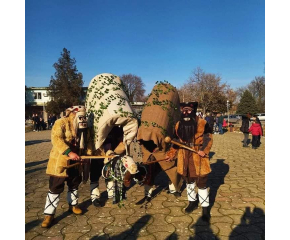 На 1 януари в Младово ще се състои местният обичай "Камили"