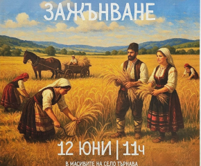 На 12 юни официално откриват жътвената кампания в община „Тунджа“