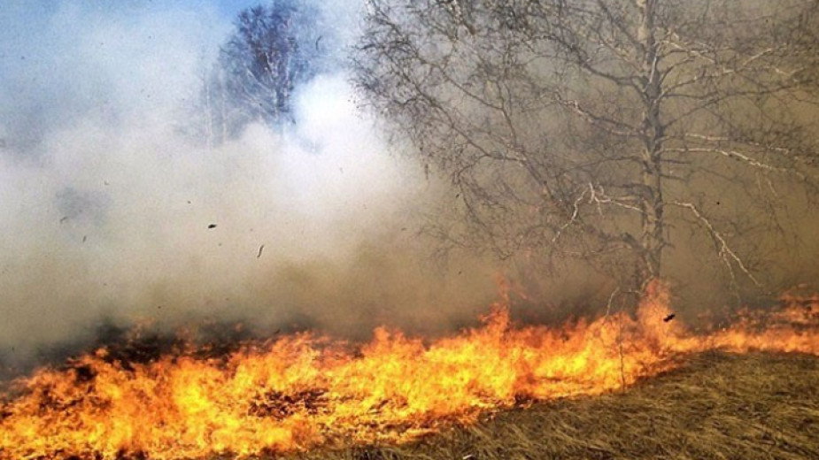 1200 декара треви и храсти изгоряха вчера в района на село Лесово. Сигналът е получен в 13,30 часа, съобщават от ГД "Пожарна безопасност и защита на населението"....