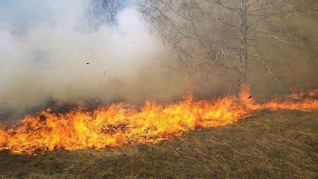 През изминалото денонощие дежурните екипи на РДПБЗН- Ямбол са се отзовали на 13 сигнала за произшествия. В десет от случаите са горели сухи треви – без...