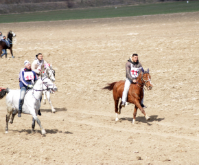 15 коня участваха в надпреварата на Общинския празник в с. Тенево