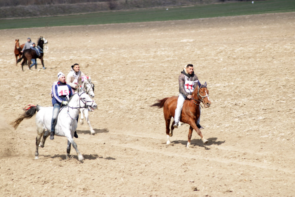 15 коня участваха в надбягванията на общинския празник на коня и конния спорт в с. Тенево, община Тунджа.
След двегодишно прекъсване община „Тунджа“,...