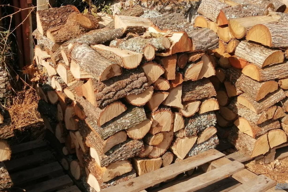 С близо 20% спрямо миналата година е увеличението на предлаганите дърва за огрев от Югоизточното държавно предприятие Сливен. Причината за това е повишеното...