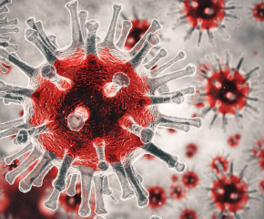 211 нови случая на коронавирус за изминалото денонощие
