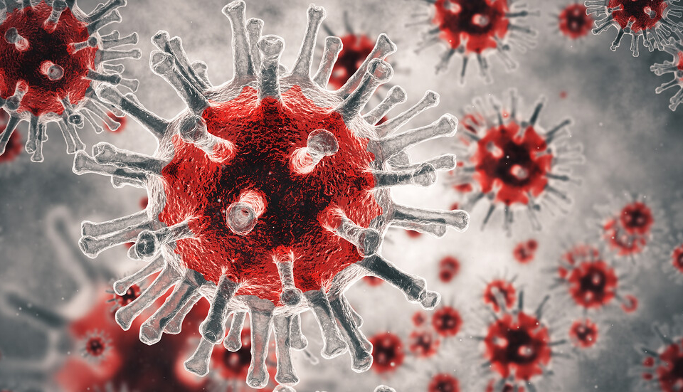 За изминалото денонощие са установени 211 нови случая на коронавирус в България, което е с 81 случая по-малко от вчера, но са изследвани 2806 проби, в...