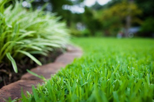 Община Ямбол започва обработката на тревните площи в междублокови пространства, квартали и паркове против кърлежи. Пръсканията ще се извършват по предварителен...