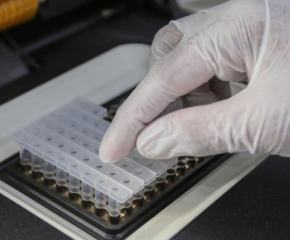 2301 нови случая на коронавирус при направени 8702 PCR теста