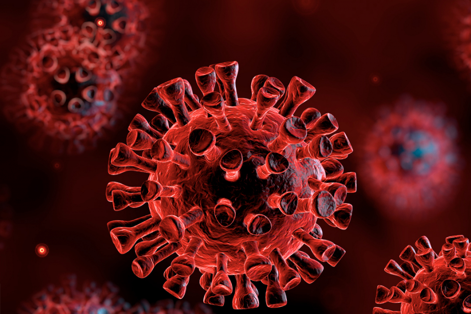 За последните 24 часа има 24 нови потвърдени случая на коронавирус в страната, от тях в болница са 12, от изследвани 376. Общият брой на случаите у нас...