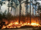 30 пожарa горят на територията на страната 