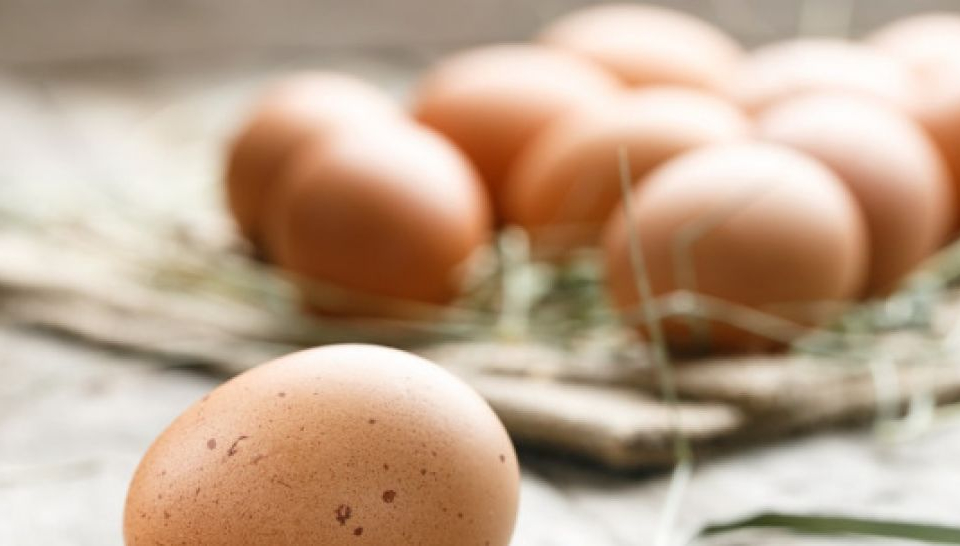 С 30% са поскъпнали яйцата у нас от началото на годината. Причина за повишението са увеличените цени на електроенергията, горивата и фуражите.
От бранша...