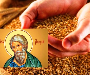 30-ти ноември е празник на зърното