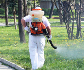 На 4 юни започва периодичното пръскане срещу комари в община Сливен