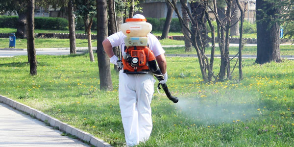От  четвърти юни - вторник, започва първата дезинсекция срещу комари (имаго) на територията на град Сливен и населените места. Ще се пръска по поречията...