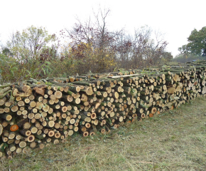 40 кубика дърва за огрев без контролна марка установиха от МВР-Сливен