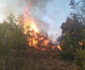 400 дка гори и насаждения спасиха сливенските огнеборци