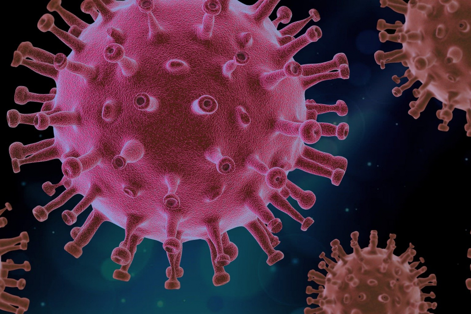 455 са новите случаи на коронавирус при направени 7674 теста. Положителни са близо 6% от направените проби. Това сочат данните на Единния информационен...
