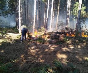 60 горски служители от ЮИДП-Сливен се включиха в борбата с големия пожар край Свиленград