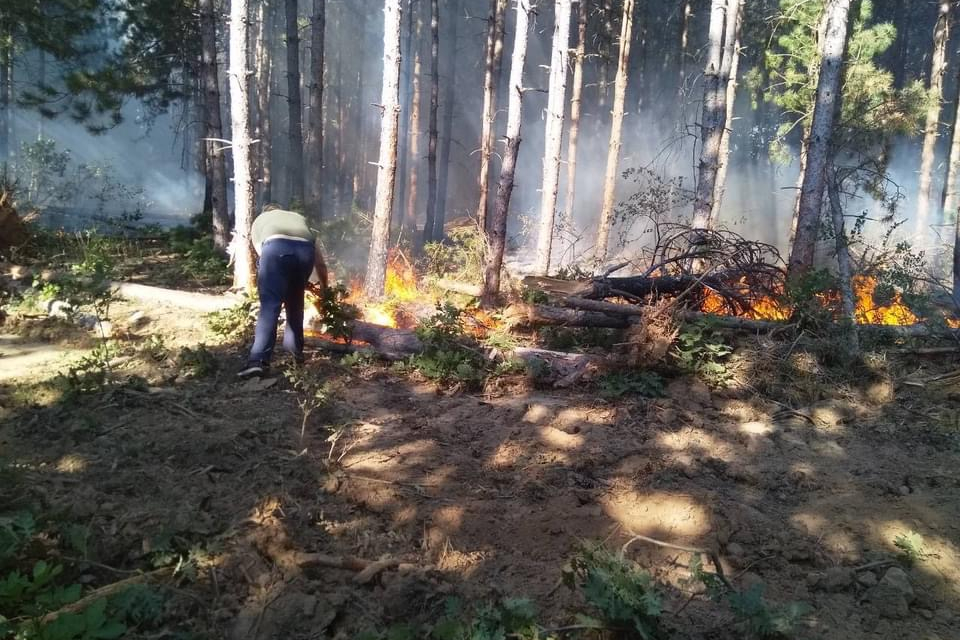 Над 150 души общо  участват в борбата с огнената стихия между селата Планиново и Устрем. Сред тях са и 60 горски служители от Регионална дирекция по горите...