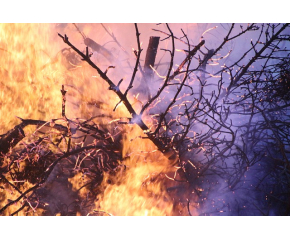 9 области на страната днес с екстремна опасност от пожари 