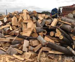 Акция срещу незаконния дърводобив в Сливенско