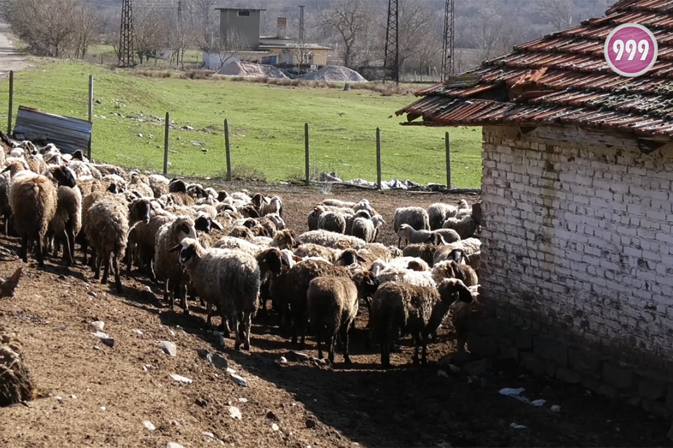 Българската агенция по безопасност на храните поиска отмяна на решение на Върховния административен съд за възстановяване регистрацията на фермата на Ана...