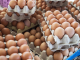 БАБХ: Украинските яйца са безопасни