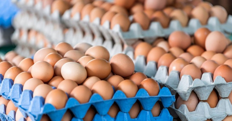 Българската агенция по безопасност на храните извършва засилени проверки в обектите за производство и търговия с храни, пакетиращи центрове за яйца, складове...