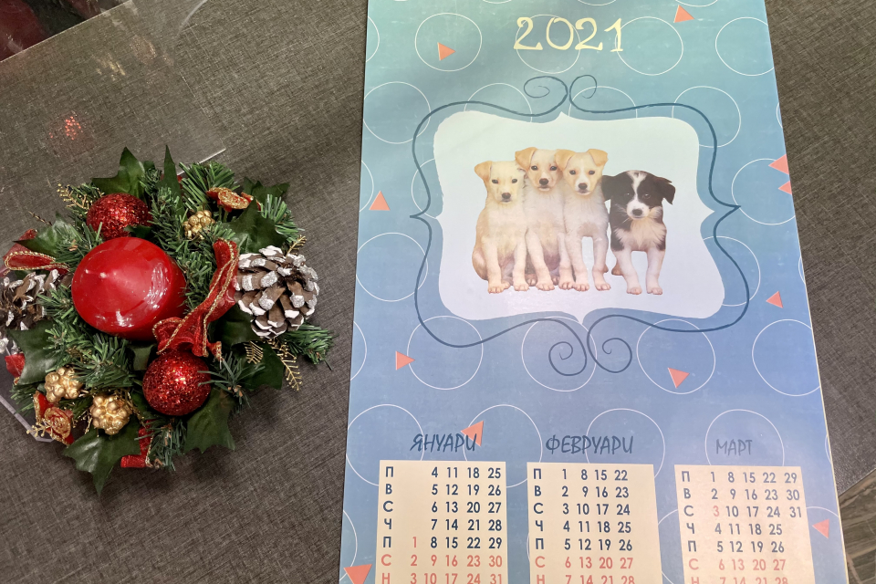 Дарители са изготвили красив календар за Общинския приют за безстопанствени животни в града. На четири страници – по една за всяко тримесечие, са заснети...