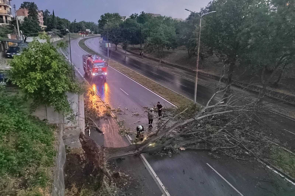 Близо 30 сигнала за паднали дървета, клони и скъсани жици в Ямбол след силната буря
След силната буря, която се разрази в Ямбол на 12 юни около 20:30...