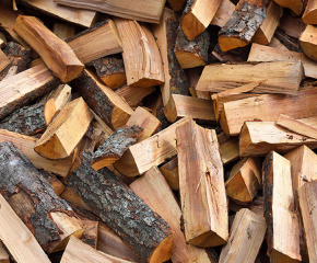 В Болярово започна събирането на средствата за заявените количества дърва от жителите на общината 