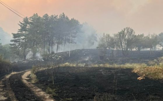 Пожарът в село Безден край Костинброд е овладян. Това каза пред журналисти директорът на Главна дирекция „Пожарна безопасност и защита на населението“...