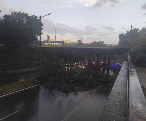 Буря с дъжд, вятър и градушка нанесе щети в Ямбол