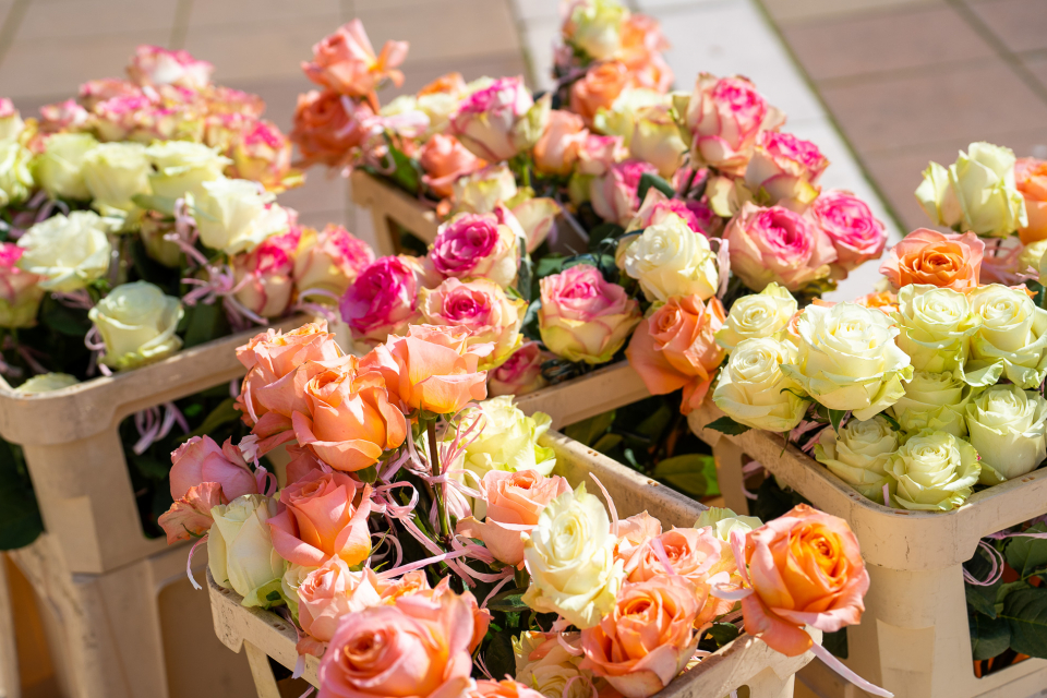 За трета поредна година община Ямбол отбеляза по специален начин Международния ден на жената – 8 март. Навръх празника стотици рози бяха подарени на дамите...