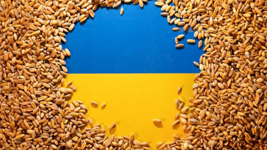 България решава спира ли вноса на зърно от Украйна. Властите у нас очакват доклад за правните основания - възможно ли е страната ни да наложи такава забрана?...