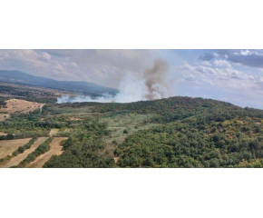 Частично бедствено положение е обявено в Хисаря и Калояново заради пожарите