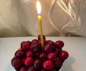 Черешова задушница е