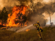 Червен код за опасност от пожари в Югоизтока