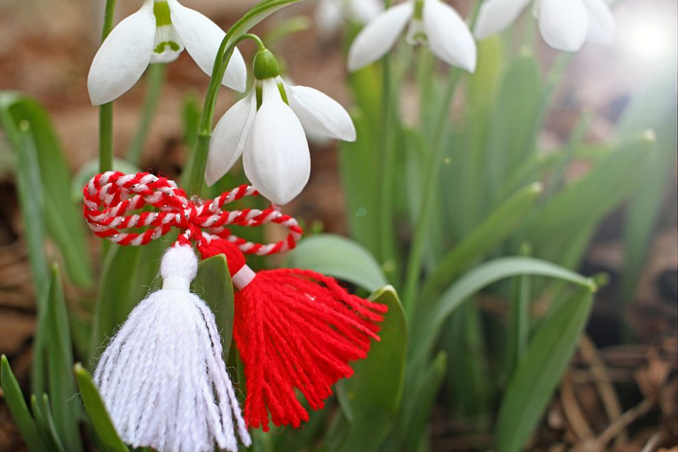  Всяка година на датата 1 март българите се окичват с бяло-червени мартеници за здраве, за радост и с предчувствие за края на зимата и настъпването на...