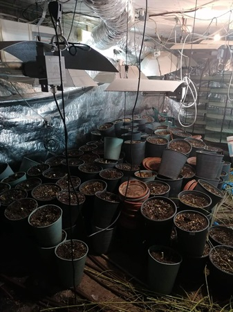 Нова нарко-оранжерия за отглеждане на конопени растения бе неутрализирана в резултат на полицейските действия на служители от отдел „Криминална полиция”...