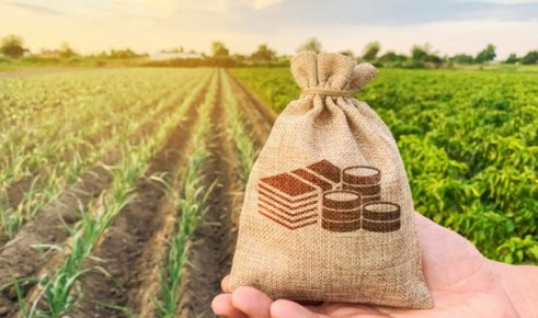 Държавен фонд "Земеделие" ще изплати днес на фермерите държавната помощ за преодоляване на негативните последици от войната в Украйна. Бюджетът по помощта...