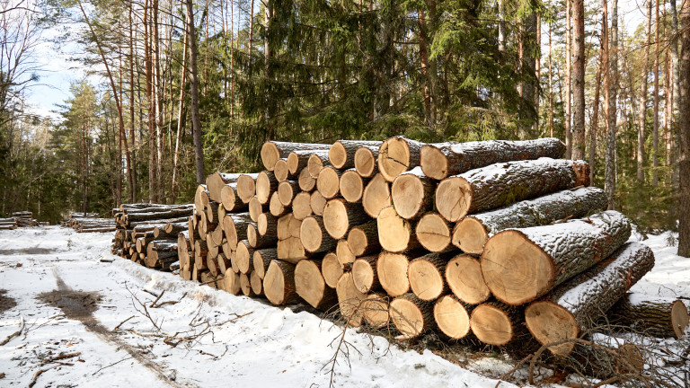 Близо 25 хиляди кубични метра дърва за огрев за нуждите на населението в селата на община Сливен е в готовност да добие Държавно горско стопанство - Сливен...