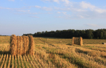 От днес започва изплащане на украинската помощ за фермерите