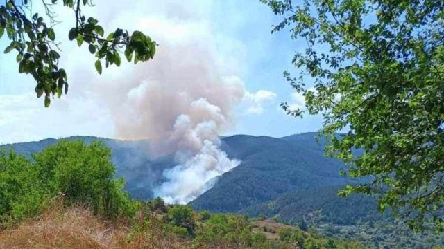 Горският пожар в Родопите продължава да гори и днес, оставайки в приблизителните граници на разпространение от вчера вечерта, заяви пред БТА инж. Здравко...