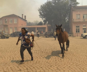 Евакуация в ямболското село Воден заради пожар