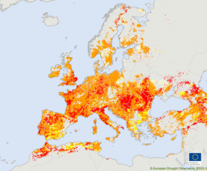 Европейската обсерватория: Такава суша не е имало от 500 години