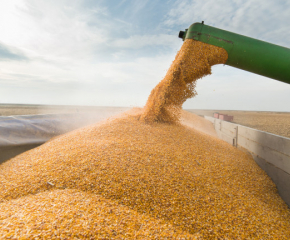 Фермери заплашват с протест заради нерегламентиран внос на украинско зърно