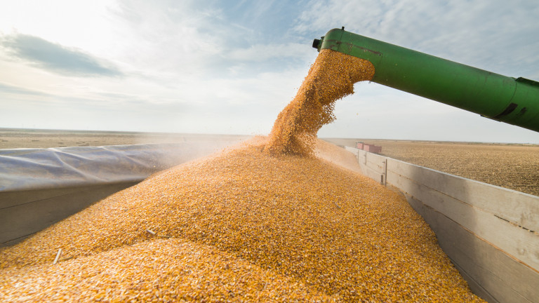 Зърнопроизводители заплашват с протести заради нерегламентирания внос на евтина пшеница и слънчоглед от Украйна. В бранша твърдят, че страната ни разполага...