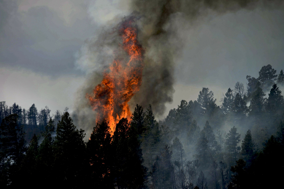 Голям пожар избухна между свиленградските села Левка, Студена и Дервишка могила днес. Пламъците са обхванали смесена гора точно под телевизионния ретланслатор,...