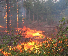 Голям пожар гори край бургаското село Изворище, има евакуирани хора