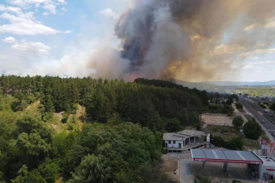 Голям пожар гори в източния край на Казанлък. Огънят е обхванал сухи треви и храсти, както и част от борова гора, съобщава БНТ.
Огънят е прехвърлил главня...